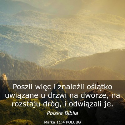 Picture 03 - Marka 11:4 POLUBG - Poszli więc i znaleźli oślątko uwiązane u - Bible Verse Picture