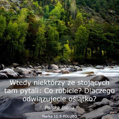 Picture 03 - Marka 11:5 POLUBG - Wtedy niektórzy ze stojących tam pytali: Co - Bible Verse Picture