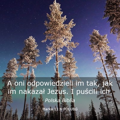 Picture 03 - Marka 11:6 POLUBG - A oni odpowiedzieli im tak, jak im nakazał - Bible Verse Picture