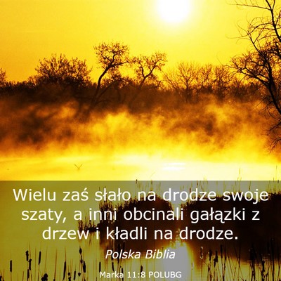 Picture 03 - Marka 11:8 POLUBG - Wielu zaś słało na drodze swoje szaty, a inni - Bible Verse Picture