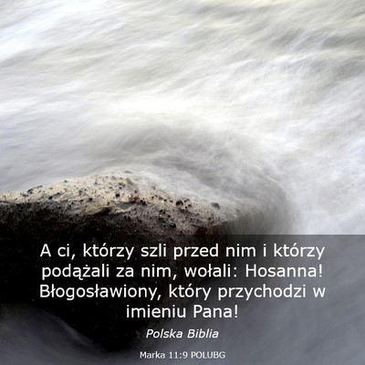 Picture 03 - Marka 11:9 POLUBG - A ci, którzy szli przed nim i którzy podążali - Bible Verse Picture