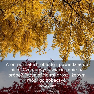 Picture 03 - Marka 12:15 POLUBG - A on poznał ich obłudę i powiedział do nich: - Bible Verse Picture