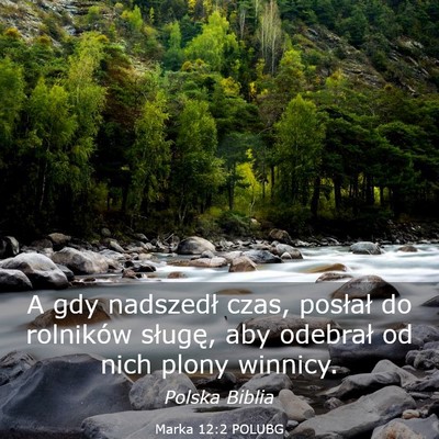 Picture 03 - Marka 12:2 POLUBG - A gdy nadszedł czas, posłał do rolników - Bible Verse Picture