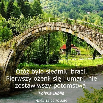 Picture 03 - Marka 12:20 POLUBG - Otóż było siedmiu braci. Pierwszy ożenił - Bible Verse Picture