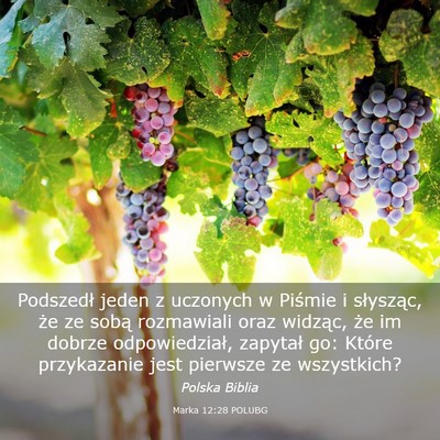 Picture 03 - Marka 12:28 POLUBG - Podszedł jeden z uczonych w Piśmie i słysząc, - Bible Verse Picture