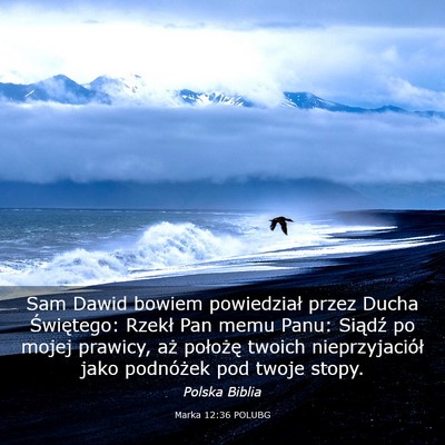Picture 03 - Marka 12:36 POLUBG - Sam Dawid bowiem powiedział przez Ducha - Bible Verse Picture
