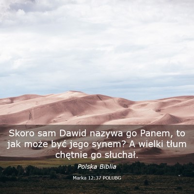 Picture 03 - Marka 12:37 POLUBG - Skoro sam Dawid nazywa go Panem, to jak może - Bible Verse Picture