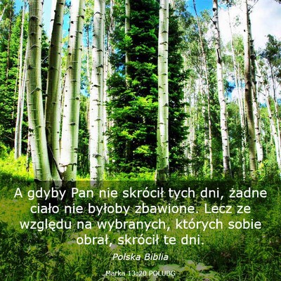 Picture 03 - Marka 13:20 POLUBG - A gdyby Pan nie skrócił tych dni, żadne ciało - Bible Verse Picture