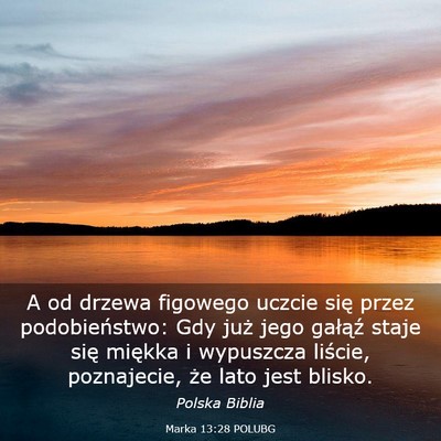 Picture 03 - Marka 13:28 POLUBG - A od drzewa figowego uczcie się przez - Bible Verse Picture