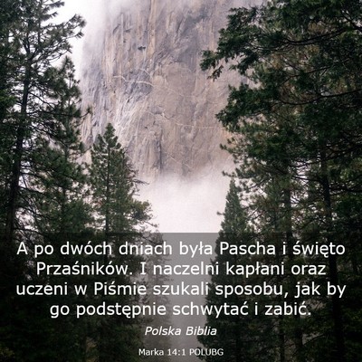 Picture 03 - Marka 14:1 POLUBG - A po dwóch dniach była Pascha i święto - Bible Verse Picture