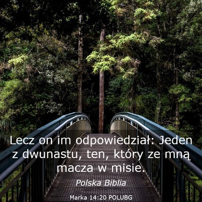 Picture 03 - Marka 14:20 POLUBG - Lecz on im odpowiedział: Jeden z dwunastu, ten, - Bible Verse Picture