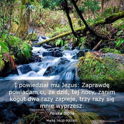Picture 03 - Marka 14:30 POLUBG - I powiedział mu Jezus: Zaprawdę powiadam ci, - Bible Verse Picture