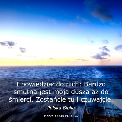 Picture 03 - Marka 14:34 POLUBG - I powiedział do nich: Bardzo smutna jest moja - Bible Verse Picture
