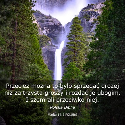 Picture 03 - Marka 14:5 POLUBG - Przecież można to było sprzedać drożej niż - Bible Verse Picture