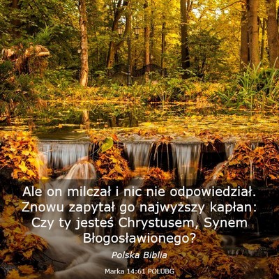Picture 03 - Marka 14:61 POLUBG - Ale on milczał i nic nie odpowiedział. Znowu - Bible Verse Picture