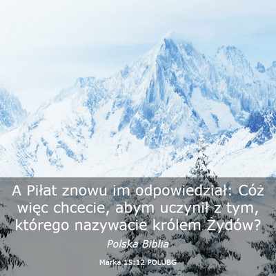 Picture 03 - Marka 15:12 POLUBG - A Piłat znowu im odpowiedział: Cóż więc - Bible Verse Picture
