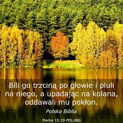 Picture 03 - Marka 15:19 POLUBG - Bili go trzciną po głowie i pluli na niego, a - Bible Verse Picture
