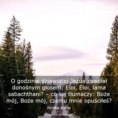 Picture 03 - Marka 15:34 POLUBG - O godzinie dziewiątej Jezus zawołał donośnym - Bible Verse Picture