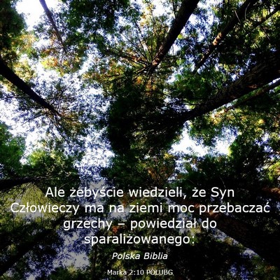 Picture 03 - Marka 2:10 POLUBG - Ale żebyście wiedzieli, że Syn Człowieczy ma - Bible Verse Picture