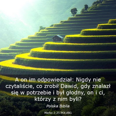 Picture 03 - Marka 2:25 POLUBG - A on im odpowiedział: Nigdy nie czytaliście, co - Bible Verse Picture