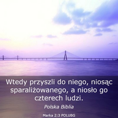 Picture 03 - Marka 2:3 POLUBG - Wtedy przyszli do niego, niosąc - Bible Verse Picture