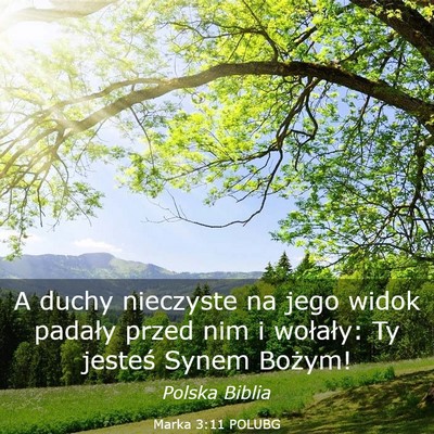 Picture 03 - Marka 3:11 POLUBG - A duchy nieczyste na jego widok padały przed nim - Bible Verse Picture