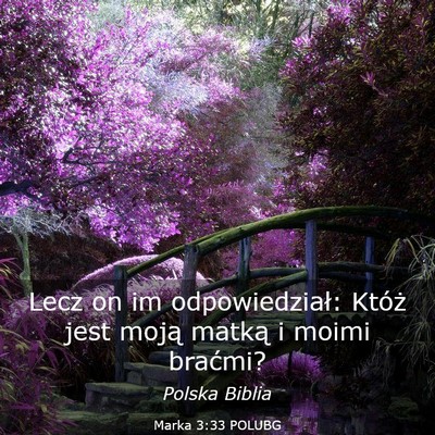 Picture 03 - Marka 3:33 POLUBG - Lecz on im odpowiedział: Któż jest moją - Bible Verse Picture
