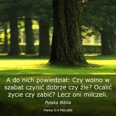Picture 03 - Marka 3:4 POLUBG - A do nich powiedział: Czy wolno w szabat czynić - Bible Verse Picture