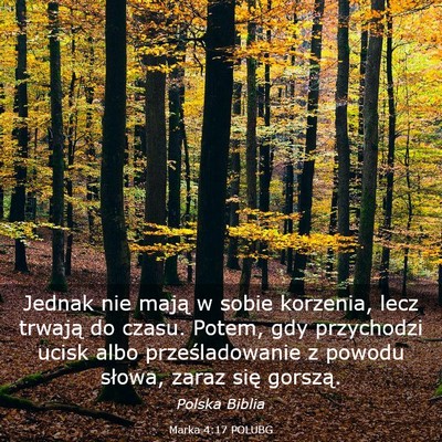 Picture 03 - Marka 4:17 POLUBG - Jednak nie mają w sobie korzenia, lecz trwają - Bible Verse Picture