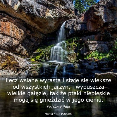 Picture 03 - Marka 4:32 POLUBG - Lecz wsiane wyrasta i staje się większe od - Bible Verse Picture