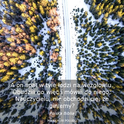 Picture 03 - Marka 4:38 POLUBG - A on spał w tyle łodzi na wezgłowiu. Obudzili - Bible Verse Picture
