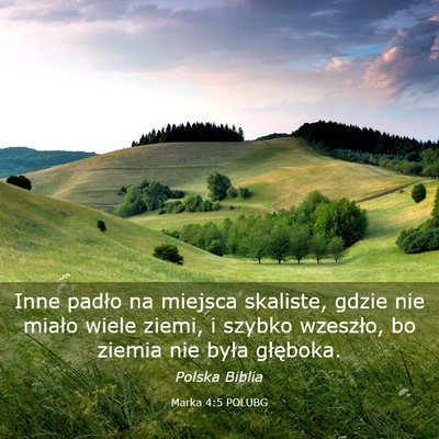 Picture 03 - Marka 4:5 POLUBG - Inne padło na miejsca skaliste, gdzie nie miało - Bible Verse Picture