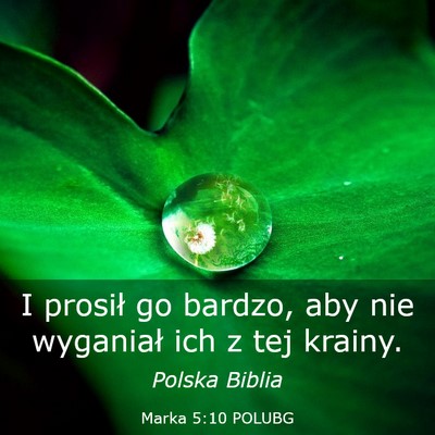 Picture 03 - Marka 5:10 POLUBG - I prosił go bardzo, aby nie wyganiał ich z tej - Bible Verse Picture