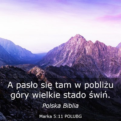 Picture 03 - Marka 5:11 POLUBG - A pasło się tam w pobliżu góry wielkie stado - Bible Verse Picture