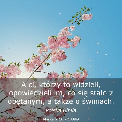 Picture 03 - Marka 5:16 POLUBG - A ci, którzy to widzieli, opowiedzieli im, co - Bible Verse Picture