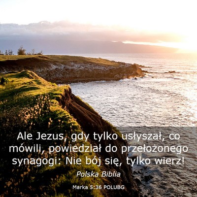Picture 03 - Marka 5:36 POLUBG - Ale Jezus, gdy tylko usłyszał, co mówili, - Bible Verse Picture