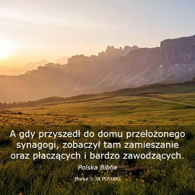 Picture 03 - Marka 5:38 POLUBG - A gdy przyszedł do domu przełożonego synagogi, - Bible Verse Picture