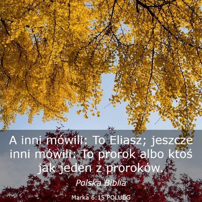 Picture 03 - Marka 6:15 POLUBG - A inni mówili: To Eliasz; jeszcze inni mówili: - Bible Verse Picture