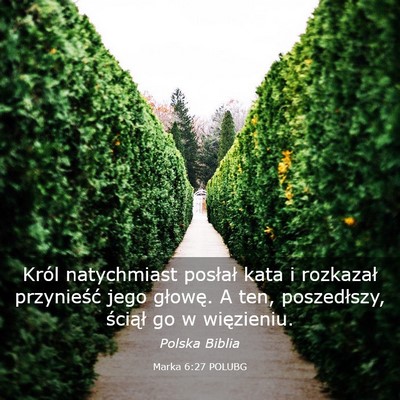 Picture 03 - Marka 6:27 POLUBG - Król natychmiast posłał kata i rozkazał - Bible Verse Picture