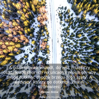 Picture 03 - Marka 6:56 POLUBG - A gdziekolwiek wszedł, do wsi, miast czy osad, - Bible Verse Picture