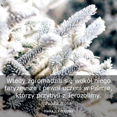 Picture 03 - Marka 7:1 POLUBG - Wtedy zgromadzili się wokół niego faryzeusze i - Bible Verse Picture