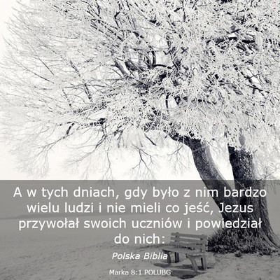Picture 03 - Marka 8:1 POLUBG - A w tych dniach, gdy było z nim bardzo wielu - Bible Verse Picture