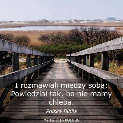 Picture 03 - Marka 8:16 POLUBG - I rozmawiali między sobą: Powiedział tak, bo - Bible Verse Picture