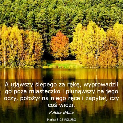 Picture 03 - Marka 8:23 POLUBG - A ująwszy ślepego za rękę, wyprowadził go - Bible Verse Picture