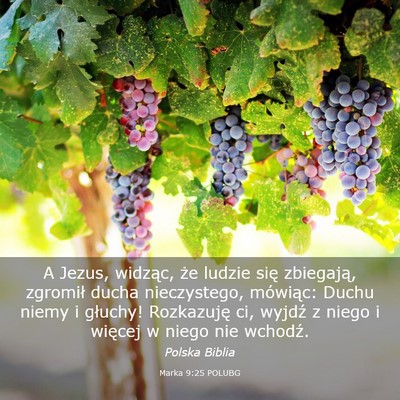 Picture 03 - Marka 9:25 POLUBG - A Jezus, widząc, że ludzie się zbiegają, - Bible Verse Picture