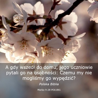 Picture 03 - Marka 9:28 POLUBG - A gdy wszedł do domu, jego uczniowie pytali go - Bible Verse Picture
