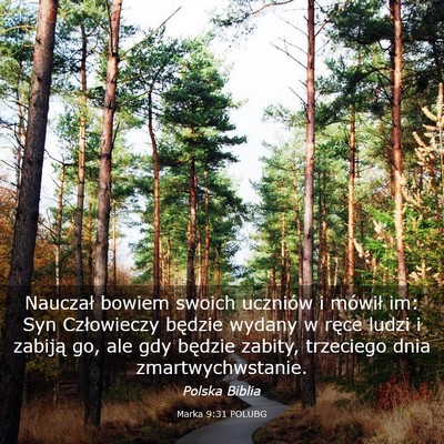 Picture 03 - Marka 9:31 POLUBG - Nauczał bowiem swoich uczniów i mówił im: Syn - Bible Verse Picture