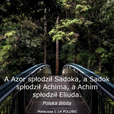 Picture 03 - Mateusza 1:14 POLUBG - A Azor spłodził Sadoka, a Sadok spłodził - Bible Verse Picture