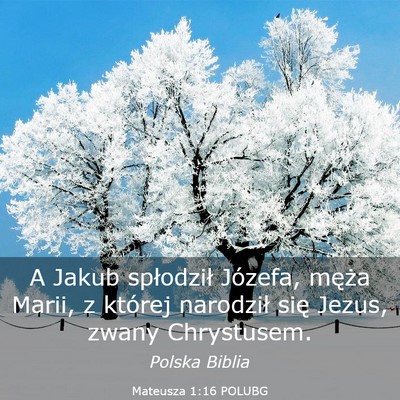 Picture 03 - Mateusza 1:16 POLUBG - A Jakub spłodził Józefa, męża Marii, z - Bible Verse Picture