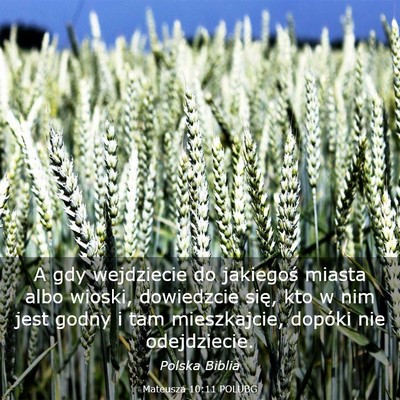 Picture 03 - Mateusza 10:11 POLUBG - A gdy wejdziecie do jakiegoś miasta albo wioski, - Bible Verse Picture